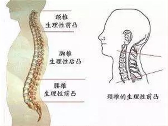 微信图片_20220429160629