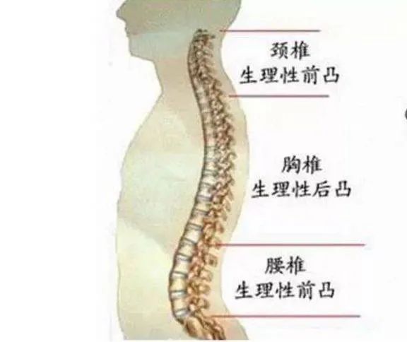 微信图片_20220701151643
